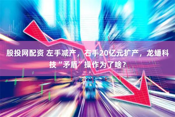 股投网配资 左手减产，右手20亿元扩产，龙蟠科技“矛盾”操作为了啥？