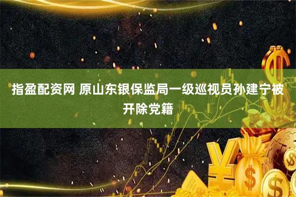 指盈配资网 原山东银保监局一级巡视员孙建宁被开除党籍