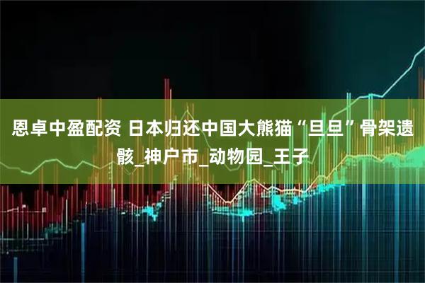 恩卓中盈配资 日本归还中国大熊猫“旦旦”骨架遗骸_神户市_动物园_王子