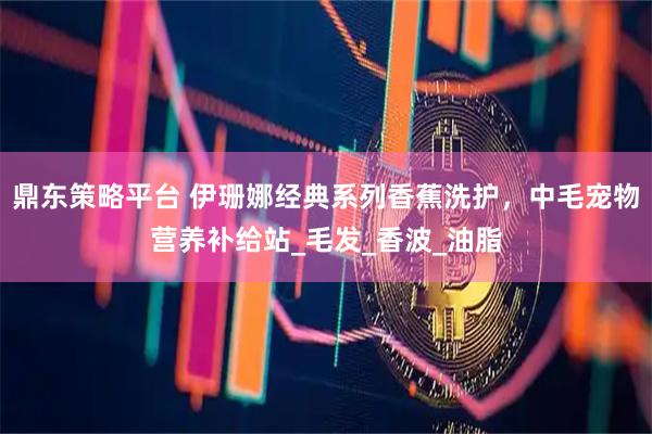 鼎东策略平台 伊珊娜经典系列香蕉洗护，中毛宠物营养补给站_毛发_香波_油脂