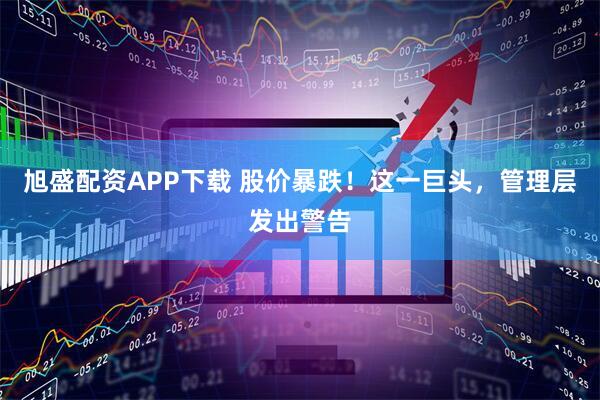 旭盛配资APP下载 股价暴跌！这一巨头，管理层发出警告
