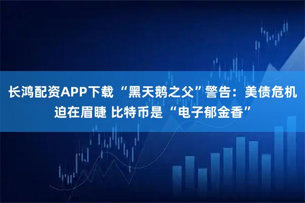 长鸿配资APP下载 “黑天鹅之父”警告：美债危机迫在眉睫 比特币是 “电子郁金香”
