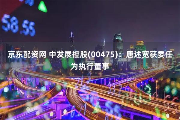 京东配资网 中发展控股(00475)：唐述宽获委任为执行董事
