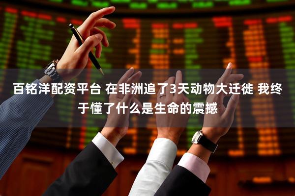 百铭洋配资平台 在非洲追了3天动物大迁徙 我终于懂了什么是生命的震撼